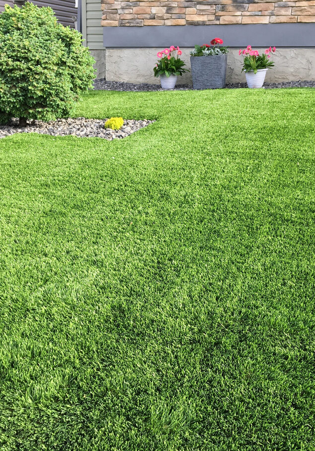 A beautiful artificial lawn in the front yard with nice flowers and shrubs surrounding it